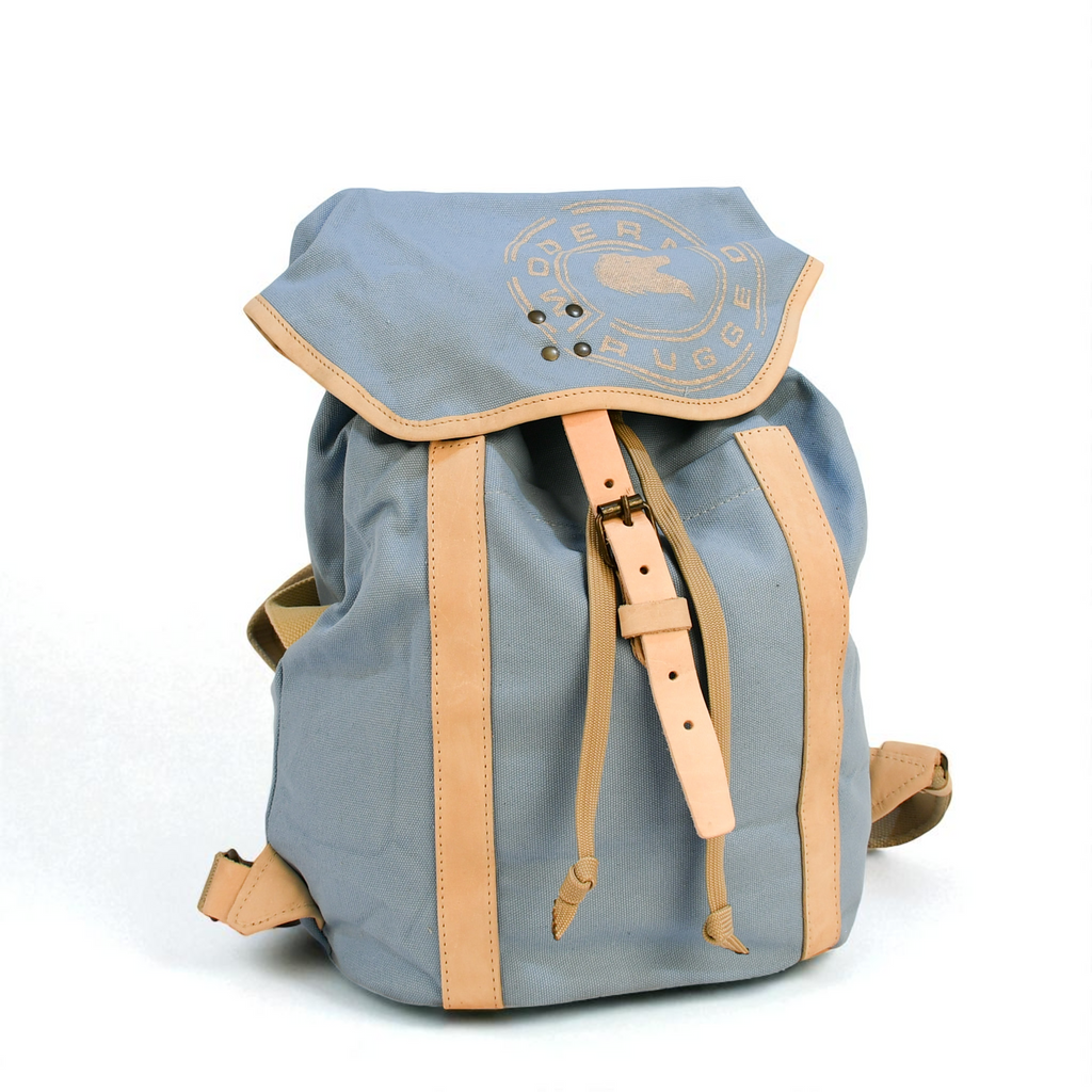 Gray backpack with beige accents on a white background